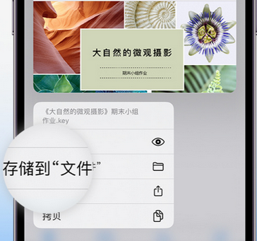 新乐apple维修中心分享iPhone文件应用中存储和找到下载文件