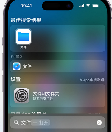 新乐apple维修中心分享iPhone文件应用中存储和找到下载文件 