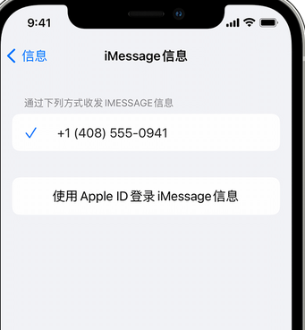 新乐apple维修iPhone上无法正常发送iMessage信息 