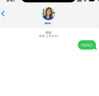 新乐apple维修iPhone上无法正常发送iMessage信息