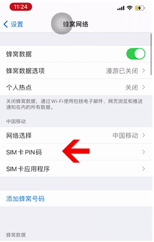 新乐苹果14维修网分享如何给iPhone14的SIM卡设置密码 