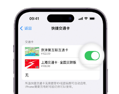 新乐apple维修点分享iPhone上更换Apple Pay快捷交通卡手绘卡面 