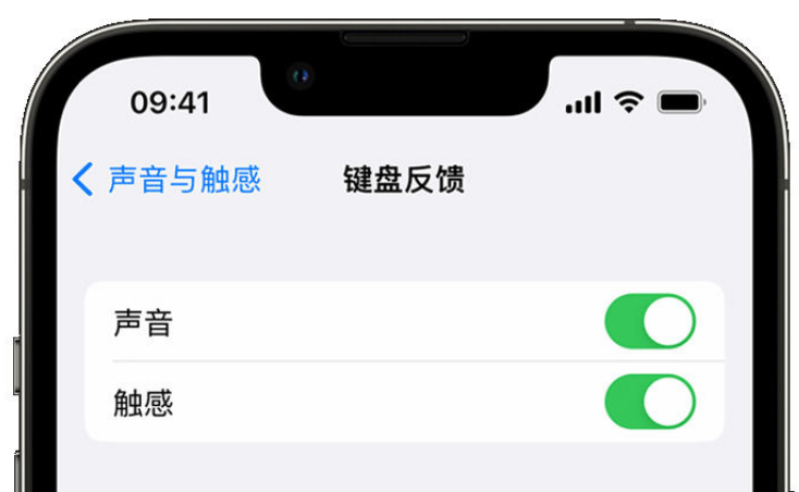 新乐苹果手机维修分享iPhone 14触感键盘使用方法 