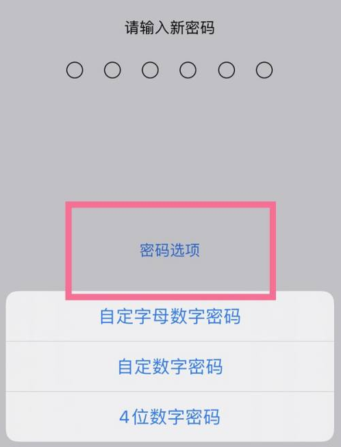 新乐苹果14维修分享iPhone 14plus设置密码的方法 