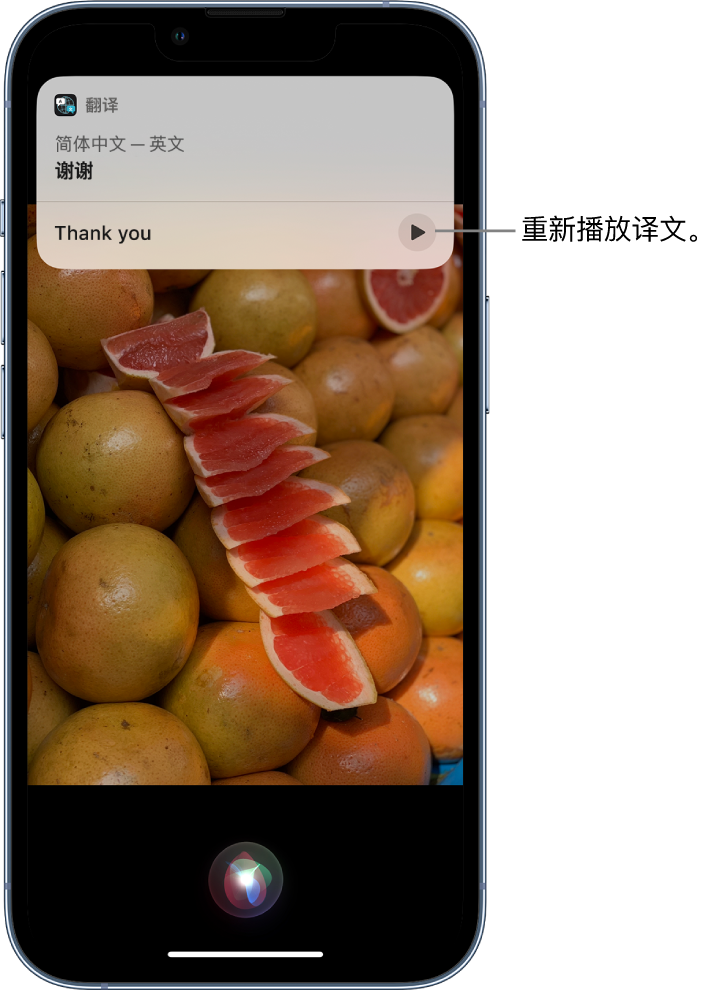 新乐苹果14维修分享 iPhone 14 机型中使用 Siri：了解 Siri 能帮你做什么 