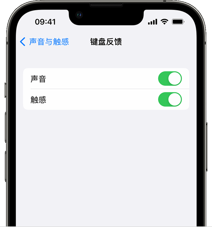 新乐苹果14维修分享iPhone 14 系列机型如何开启键盘声音或触感反馈 