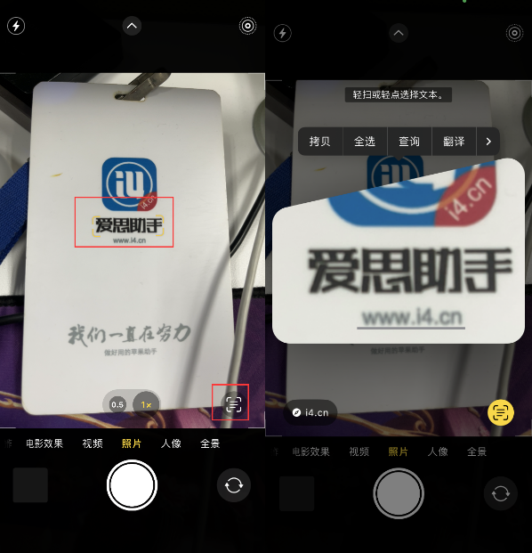 新乐苹果手机维修分享升级iOS 16后如何通过相机翻译文本 