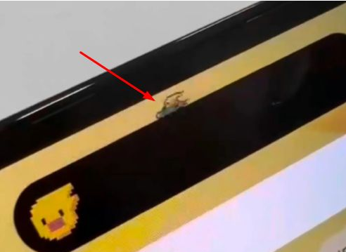 新乐苹果14维修分享iPhone 14 Pro Max灵动岛怎么养宠物 