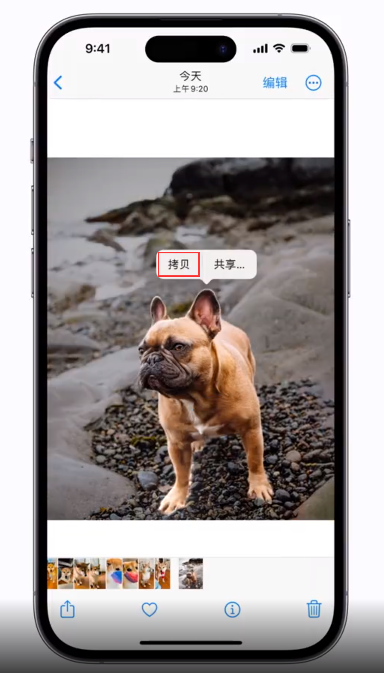 新乐苹果手机维修分享 iOS 16 自带一键抠图功能 