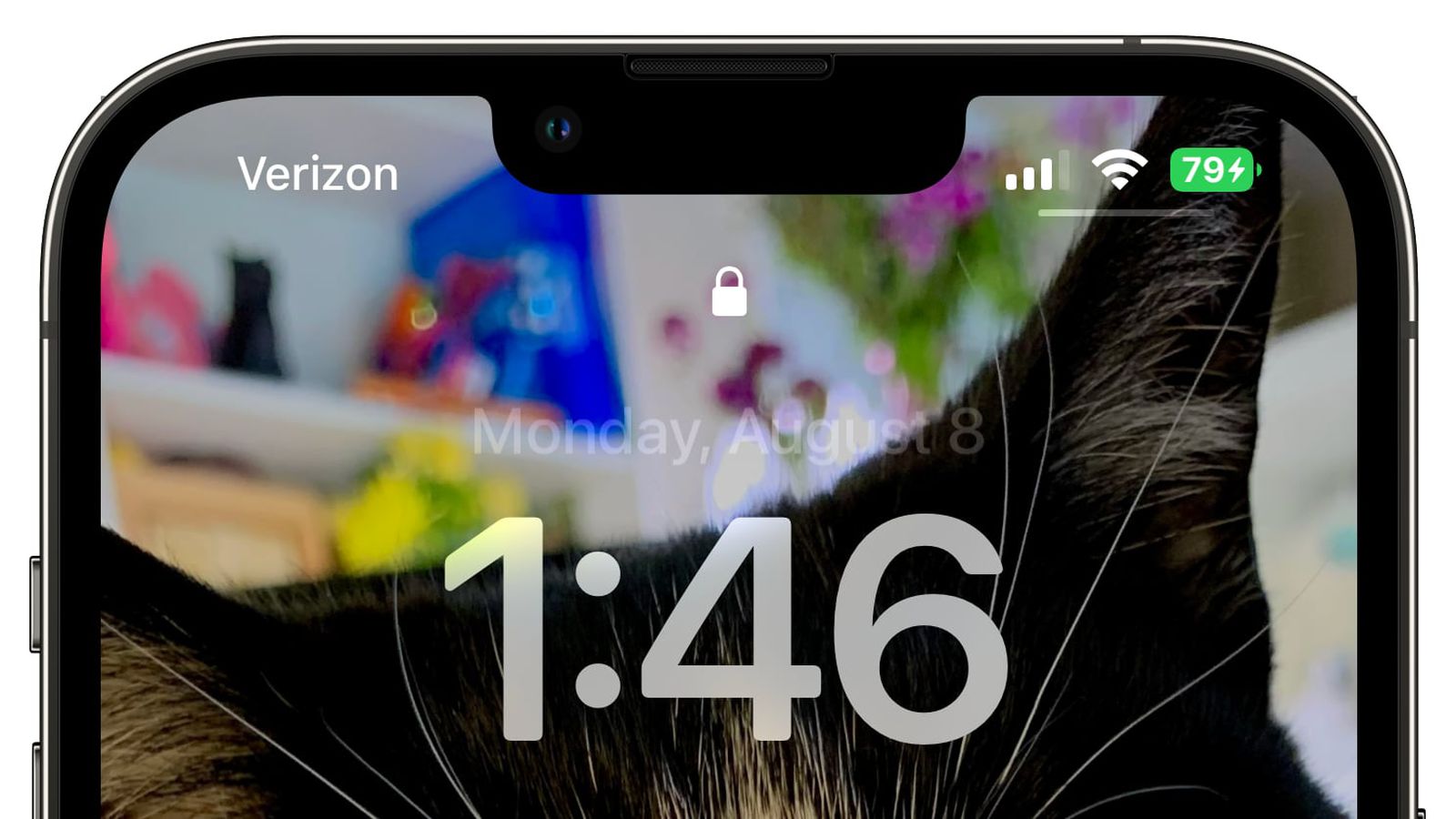 新乐苹果手机维修分享iOS 16 beta 5 支持状态栏显示电池百分比，如何开启？支持哪些机型 