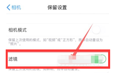 新乐苹果13维修分享iPhone13拍照有绿点是怎么回事 