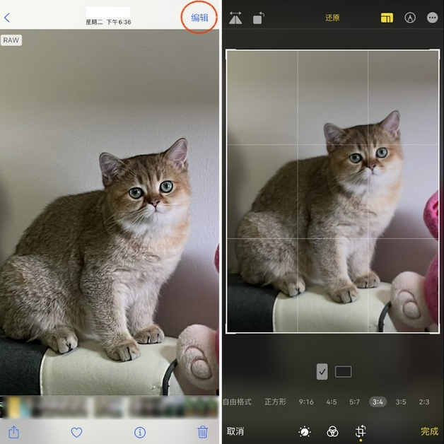 新乐苹果手机维修分享苹果 iPhone 12 Pro 拍照会过度锐化 