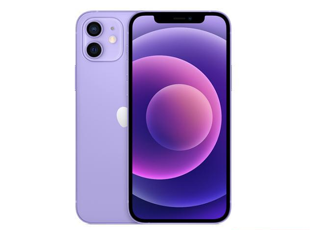 新乐苹果手机维修分享现阶段要不要入手紫色版iPhone12 
