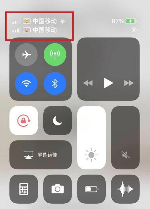 新乐苹果手机维修分享为 iPhone 12 双卡设置标签 